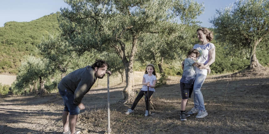 IN TIME. FAMILY OLIVE TREE